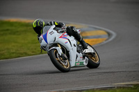 PJ-Motorsport-2019;anglesey-no-limits-trackday;anglesey-photographs;anglesey-trackday-photographs;enduro-digital-images;event-digital-images;eventdigitalimages;no-limits-trackdays;peter-wileman-photography;racing-digital-images;trac-mon;trackday-digital-images;trackday-photos;ty-croes